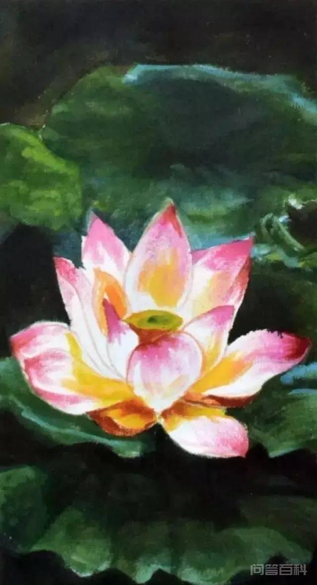 油画初学者怎么入手|油画初学者入门教程 油画荷花技法