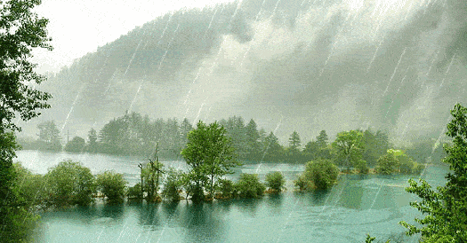 夏天的雨