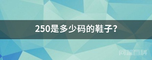 250码的鞋子对应欧码和大陆鞋码都是