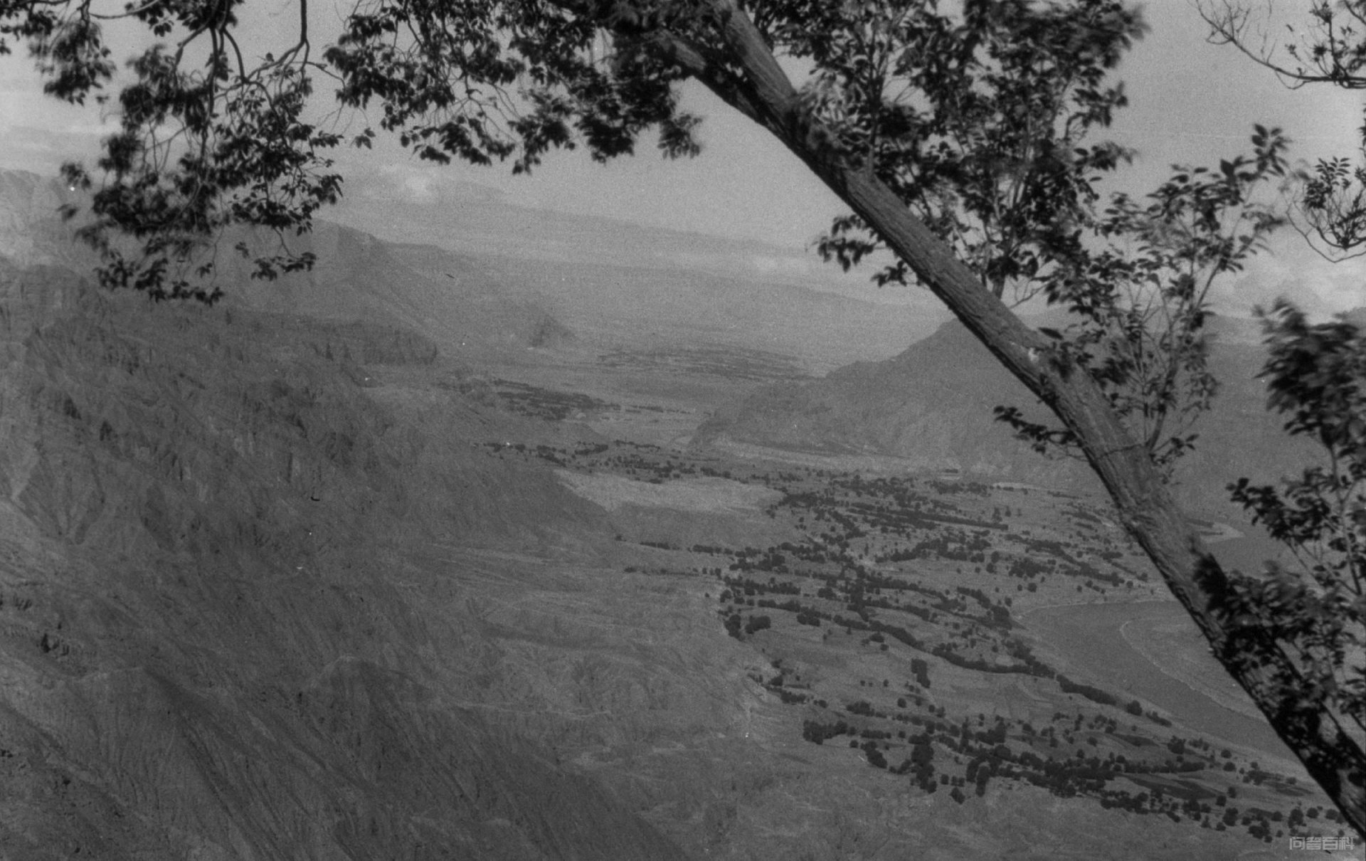 1936年的临夏:东乡族说蒙语、河州花儿有的淫,宗教氛围很浓 编者按: