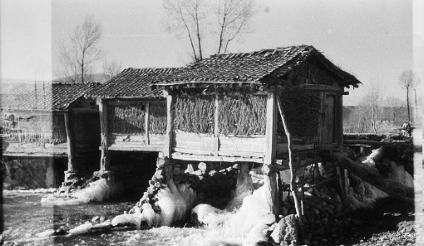 1936年的临夏:东乡族说蒙语、河州花儿有的淫,宗教氛围很浓 陪同九世班禅由青海塔尔寺返回西藏