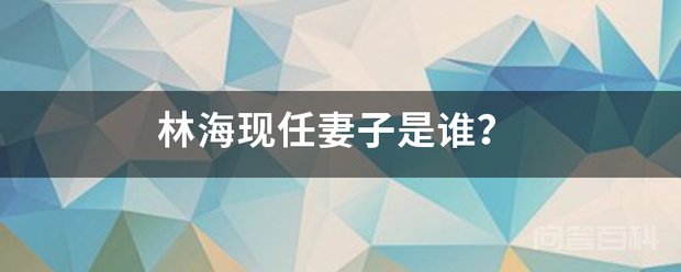 林海现任妻子是谁? 截至2021年6月