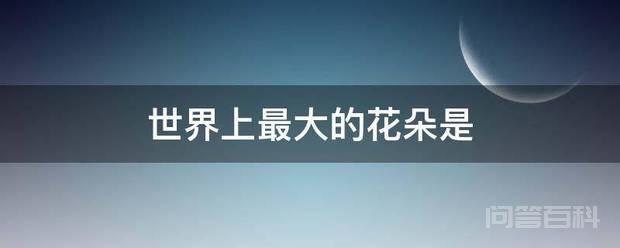 世界上最大的花是泰坦魔芋