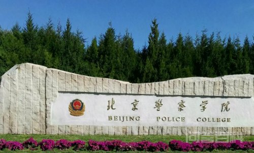 对应的录取位次为3893