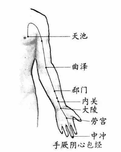 三伏天,拍拍手臂的内侧,好比吃人参!