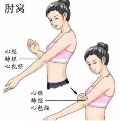 三伏天,拍拍手臂的内侧,好比吃人参! 其实中医看来