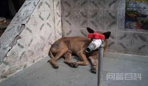 求求你了