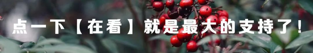 首先是本科高校的各个批次录取顺序情况