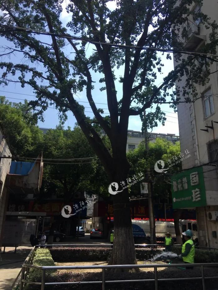 恭喜溧阳南山后村◇由1941年的结婚证照想起的...◇溧阳街头老手艺人! 【今日专辑】走遍江南寻到你
