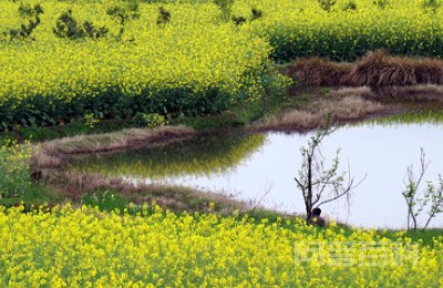 仙居风景名胜区