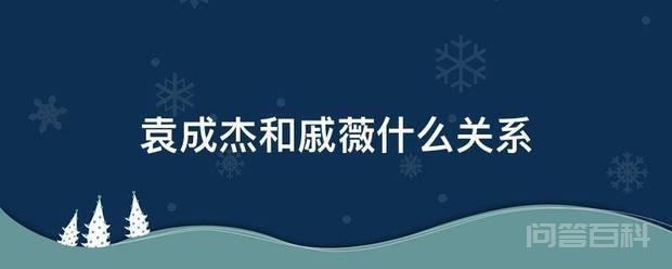 袁成杰和戚薇开云怎么用关系 袁成杰和戚薇是搭档关系