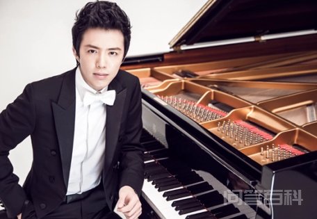 朗朗和李云迪是一个级别的吗? 是的。