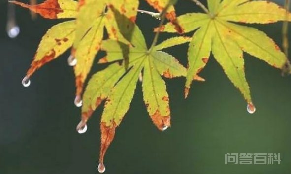 一场秋雨一场寒的下一句是