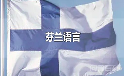 芬兰说开云手机站登录入口平台介绍语言 芬兰语、瑞典语。
