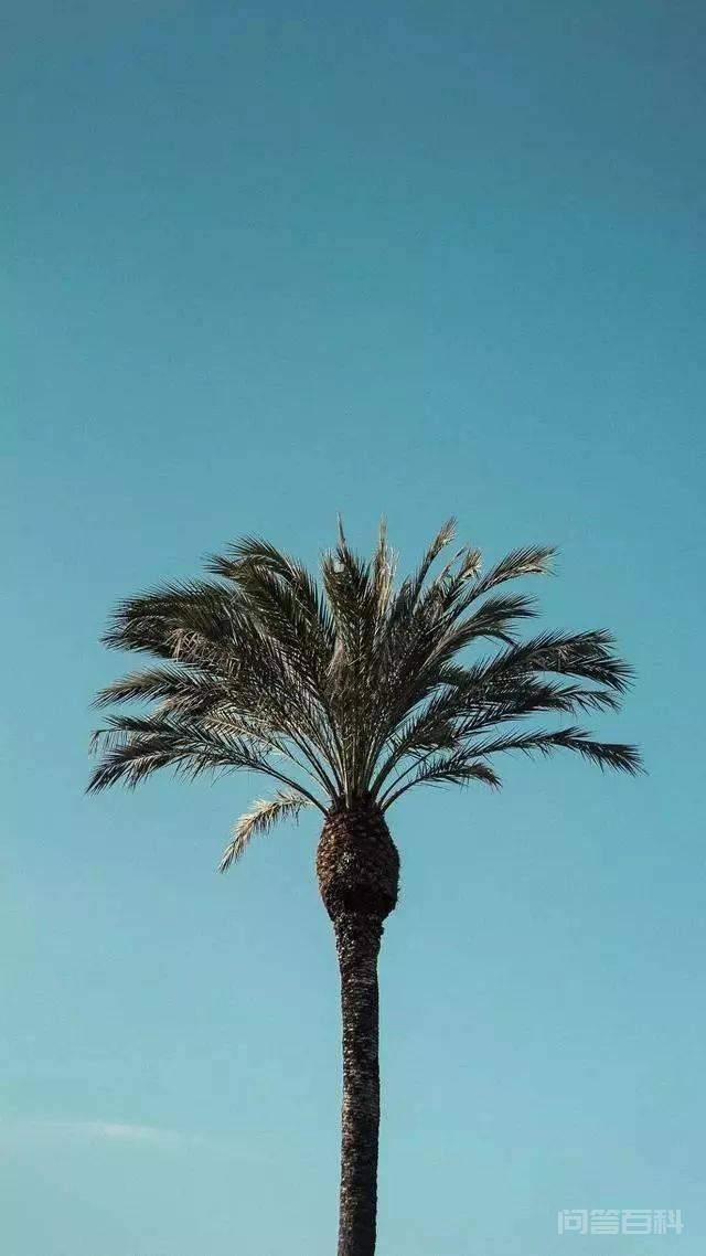 不如放弃
