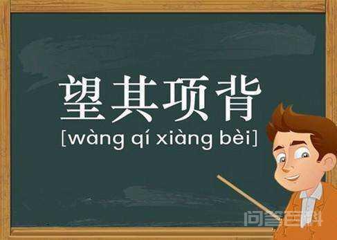 “难以望其项背”这句话正确吗? 用于书面语