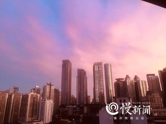 朦胧的清晨映上了一层薄雾般的紫色