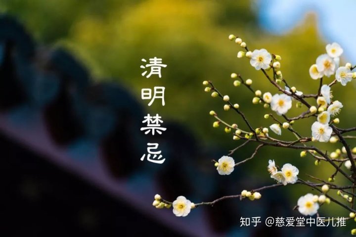 清明节扫墓,要注意这九大禁忌一定不要去碰! 衡道恒国学文化
