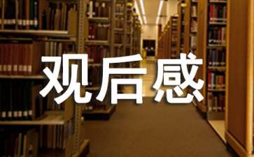 《芈月传》观后感 《芈月传》观后感