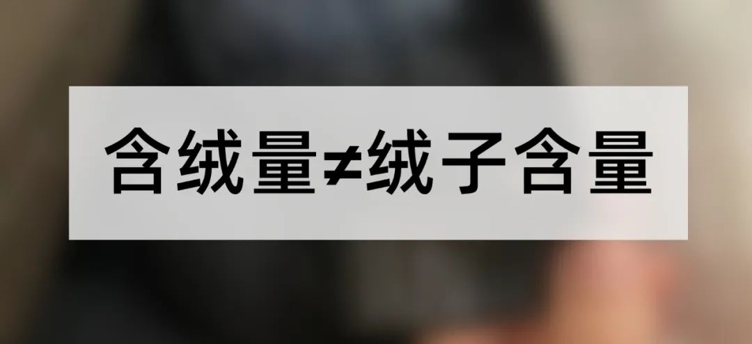 全文1729字