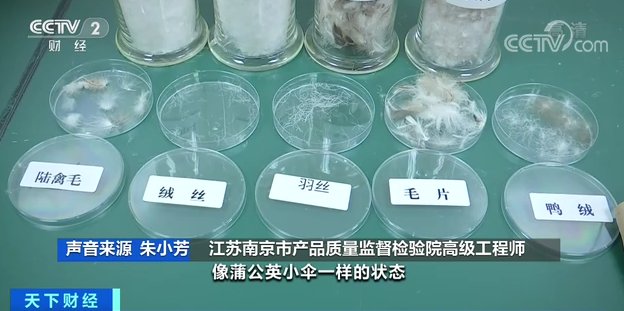 又是一年“双十一”