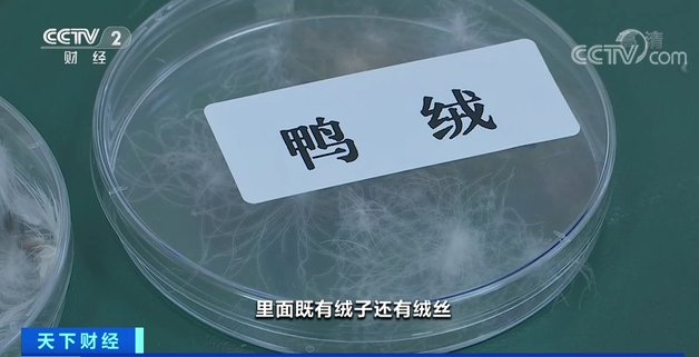你血拼了吗