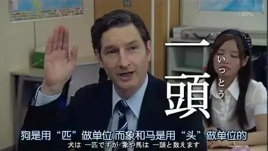 一羽兔、两丁鱼、三匹狗?日语的数量词太难了! 延伸阅读那么