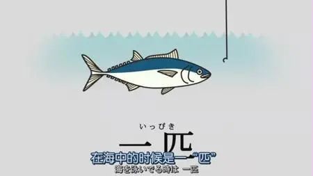 一羽兔、两丁鱼、三匹狗?日语的数量词太难了! 关于量词