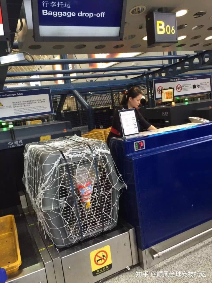 通过血检并开具狂犬病抗体检测证书
