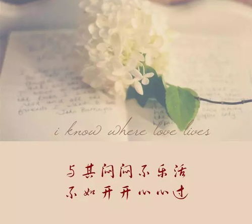 还生了两个孩子