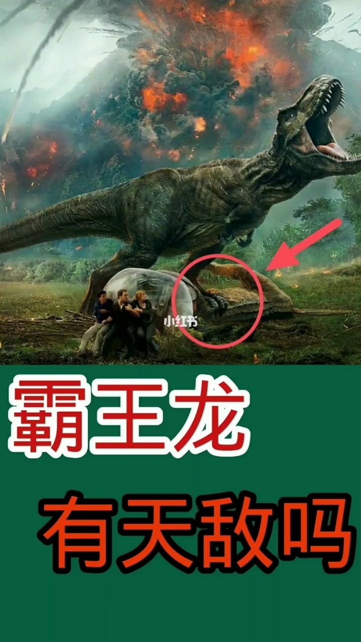 霸王龙和暴龙也算是一对宿敌了