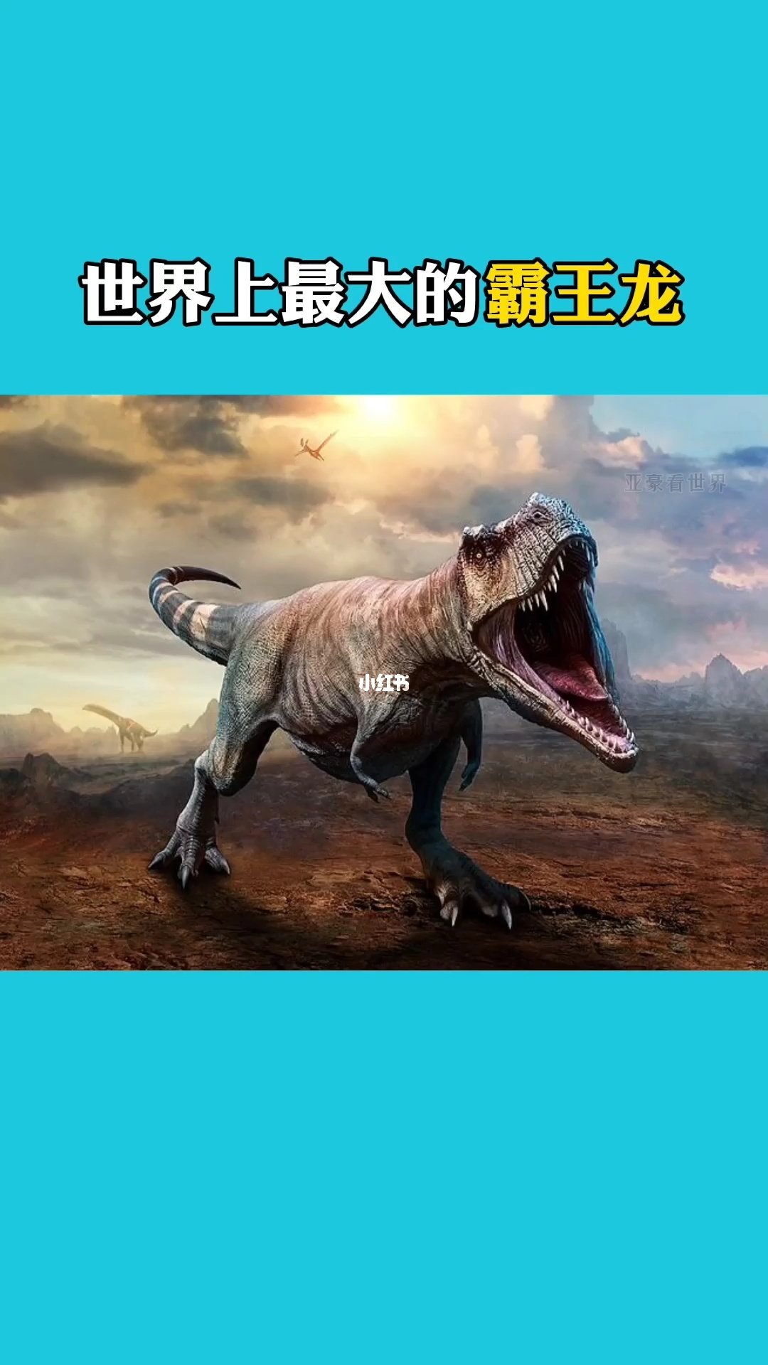 即使是赴汤蹈火也在所不惜