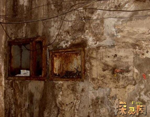甚至连头发也是白色的