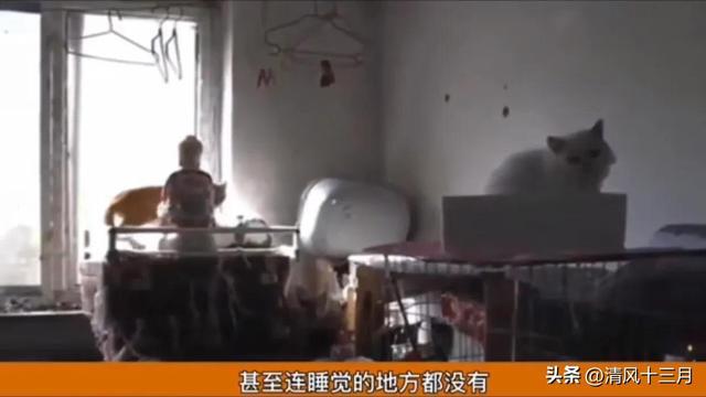 揭秘沈阳铁西鬼楼为开云官网入口不拆,原来是白衣怨鬼 同题参见这鬼楼里还有一具超级诡异的女