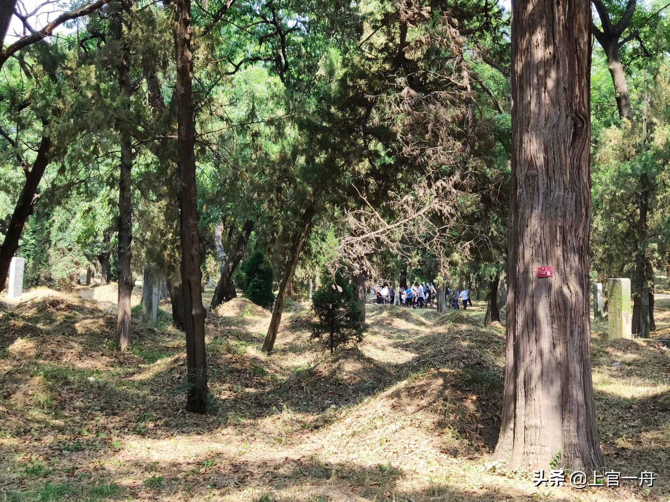 去往孔子故乡,原来孔子后人还有这种特权 思想家孔子的故乡