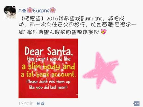 2017新年的愿望经典英语作文「附翻译」