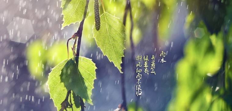 惊蛰是开云官网正规渠道意思 惊蛰是开云官网正规渠道季节 那么惊蛰到底是开云官网正规渠道意思呢