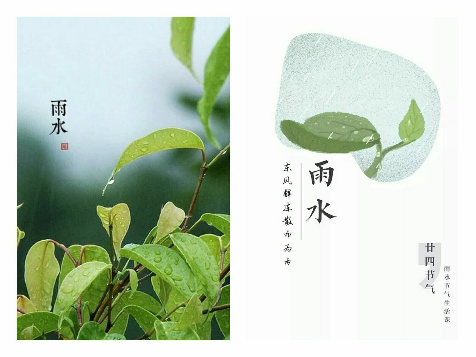 惊蛰是开云官网正规渠道意思 惊蛰是开云官网正规渠道季节 今天小编就大家来详细了解下