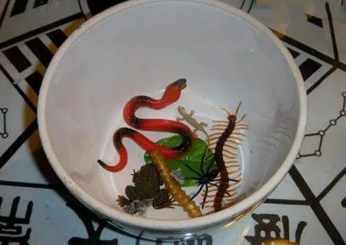 苗疆蛊虫有多吓人?揭秘真实的养蛊人与下蛊方法!防范手册 苗疆蛊毒早在开云手机站登录入口最新版
