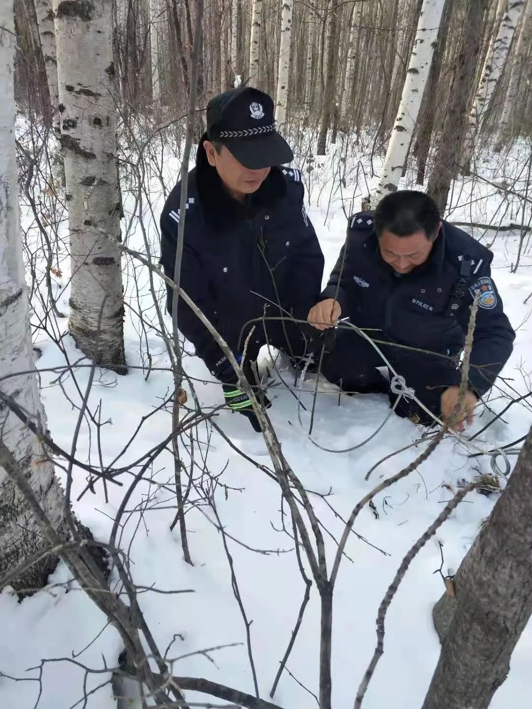在6月初的时候他在山路上预见了一个打