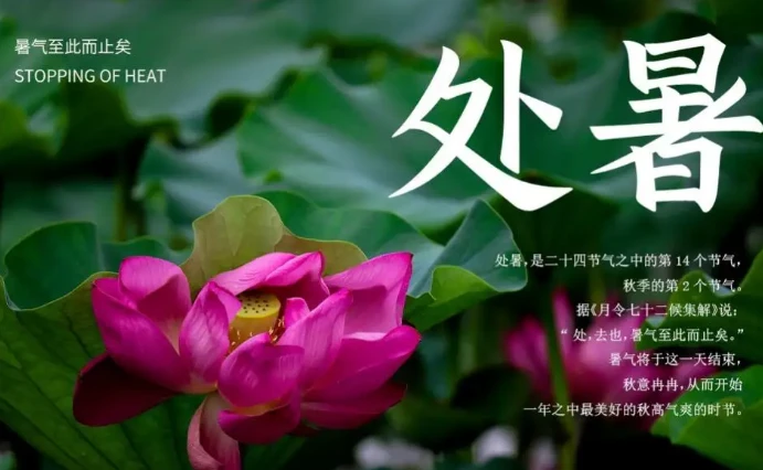 惊蛰是几月几号2021年 今日就是处暑了