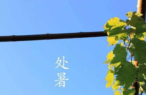 惊蛰是几月几号2021年 意味着天气会越来越凉快