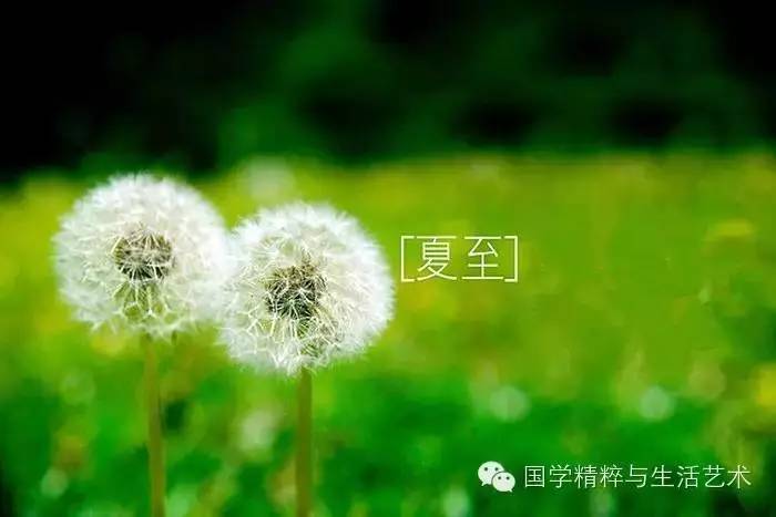 炎炎夏至今来到