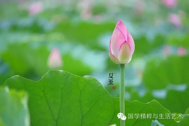 同题参见劝君心情莫烦躁