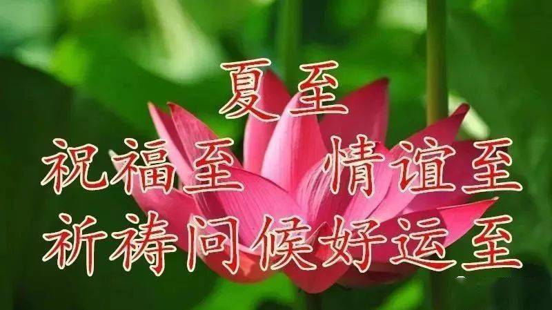夏至祝福短信 在每年公历6月21日或22日