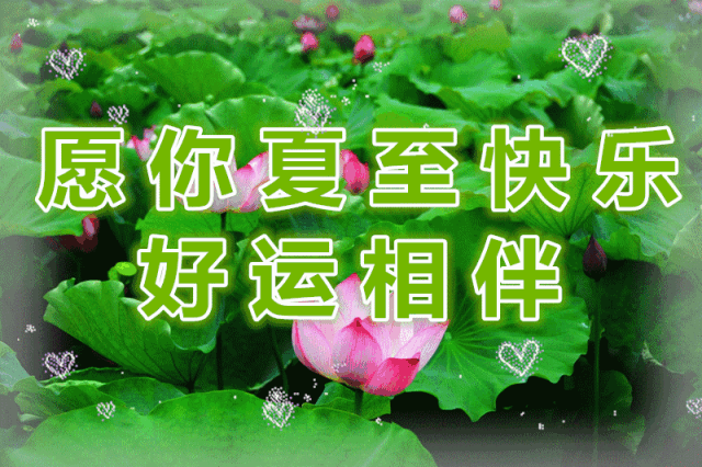 夏至祝福短信 希望大家喜欢