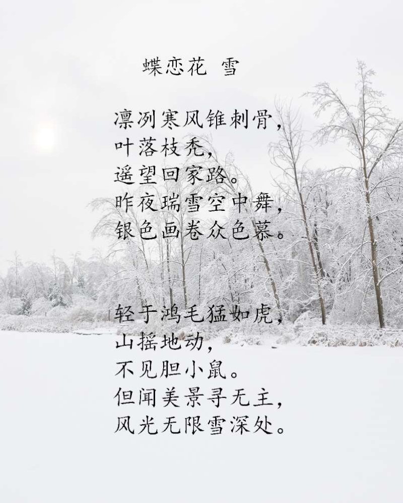 赞美冬天的诗句篇1
