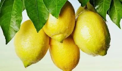 精油 | 哪种精油美白效果好? 柠檬精油
