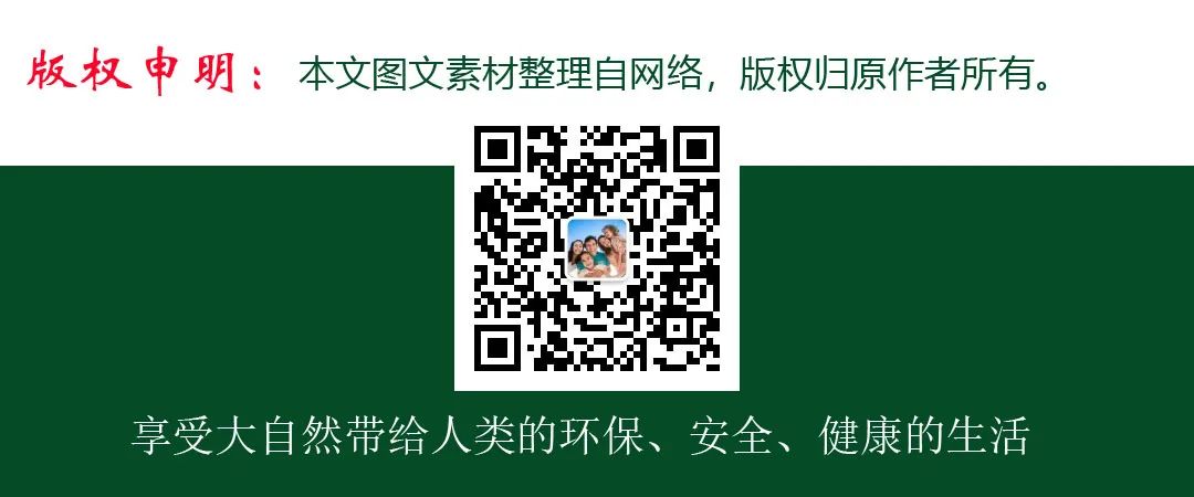 精油 | 哪种精油美白效果好? 配合玫瑰精油的促进肌肤开云手机站登录