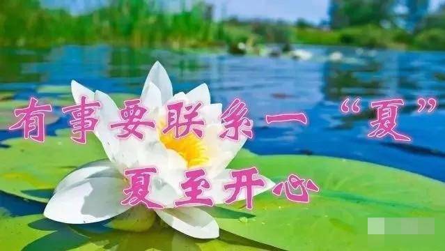 夏至养生短信 节日祝福可以增加两个人的联系